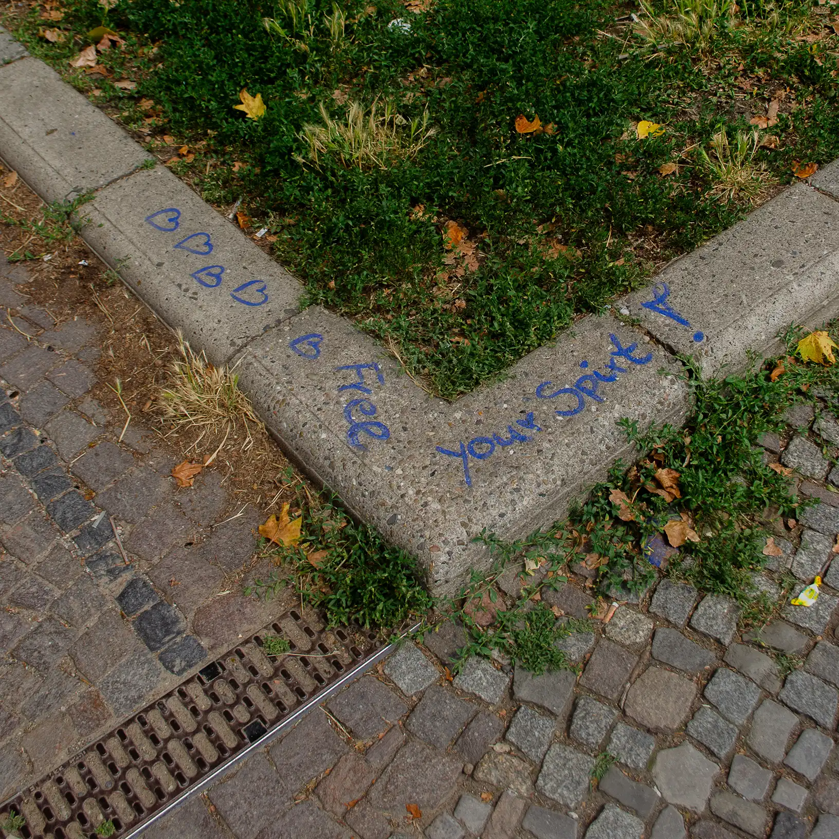 berlin/Berlin-026-3264 x 4928.webp